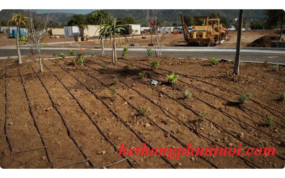 Hệ thống tưới nhỏ giọt